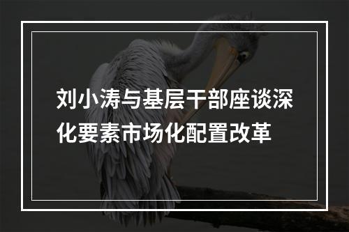 刘小涛与基层干部座谈深化要素市场化配置改革